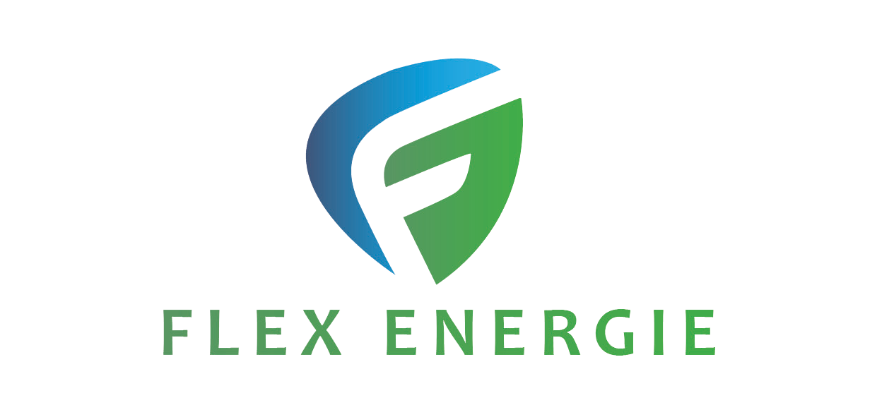 Flex Energie Logo